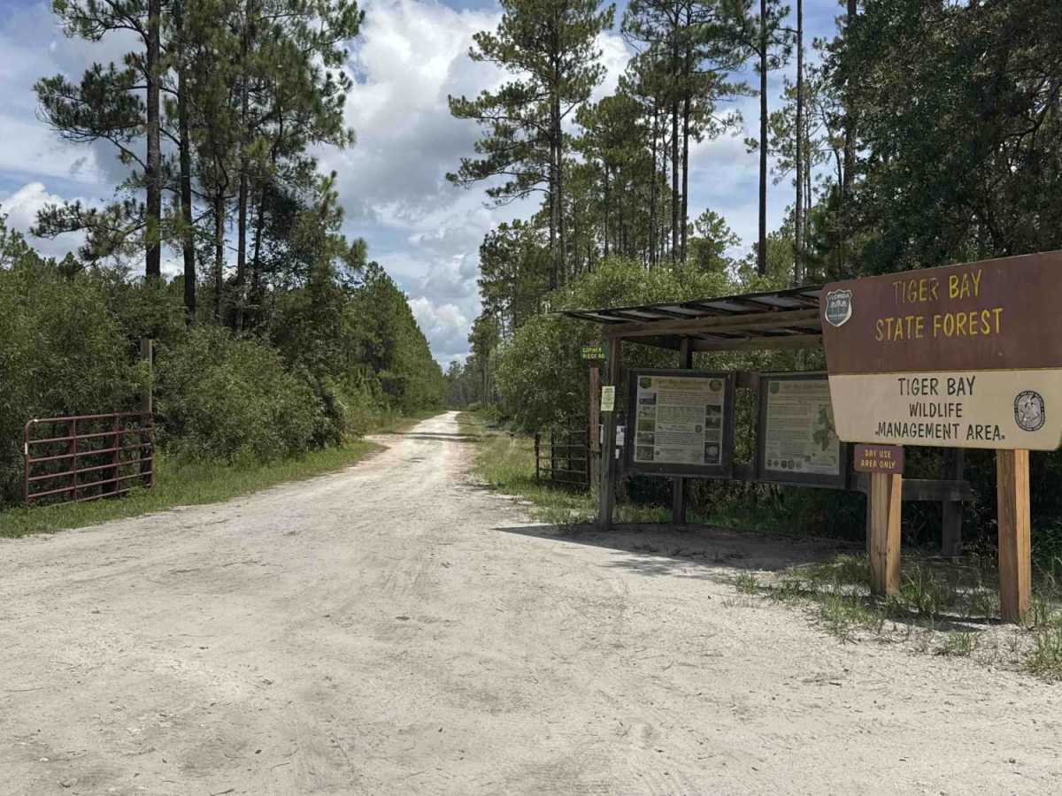 Gopher Ridge Road trail photo
