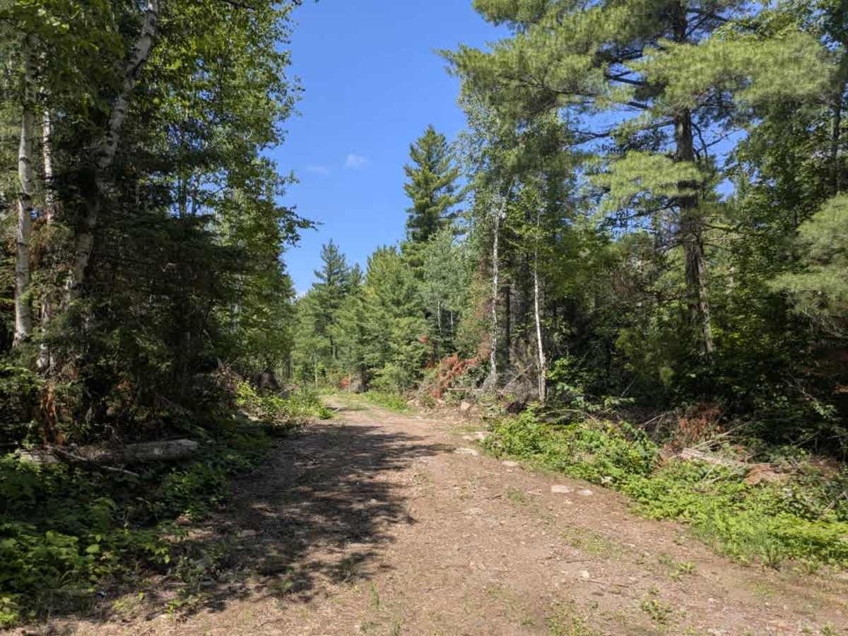 Bushel Lake trail photo