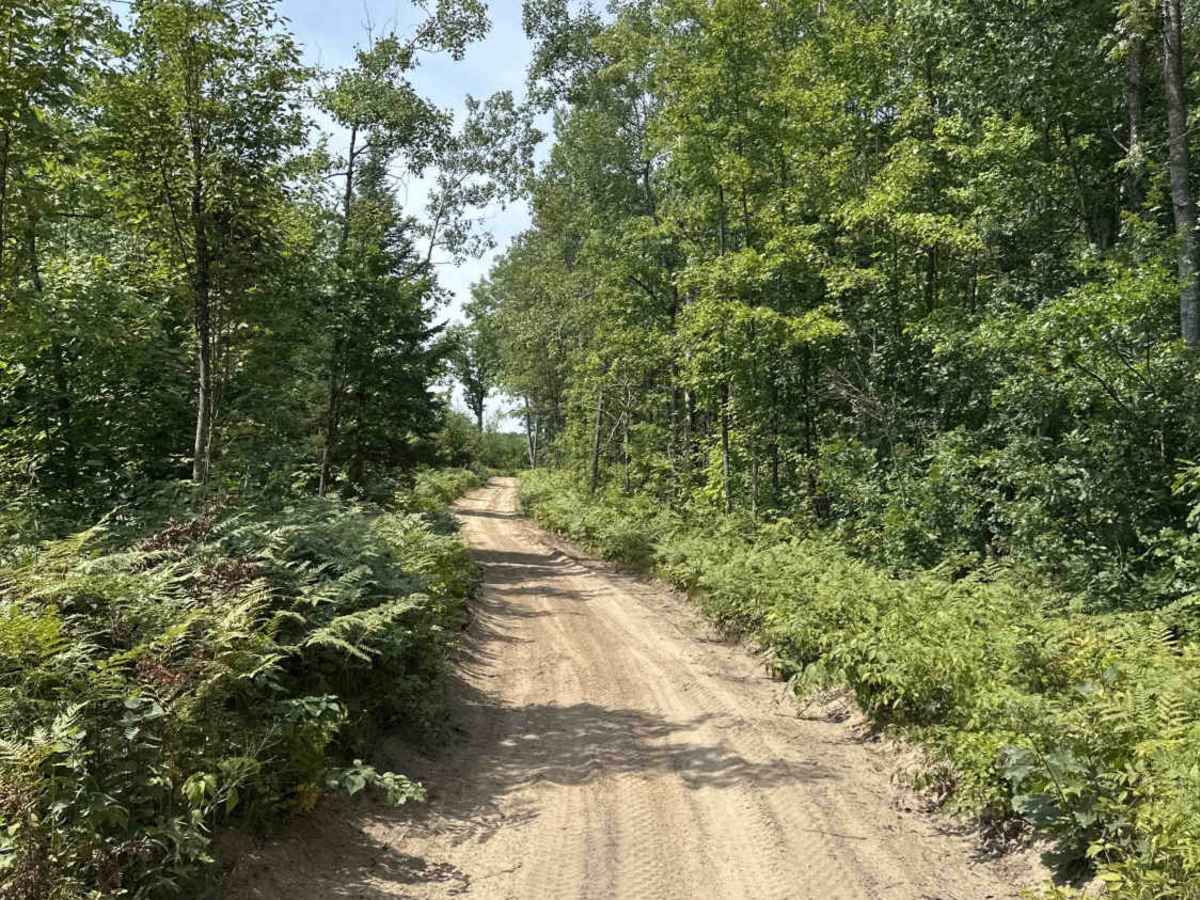 Ann Arbor Trail H7 trail photo