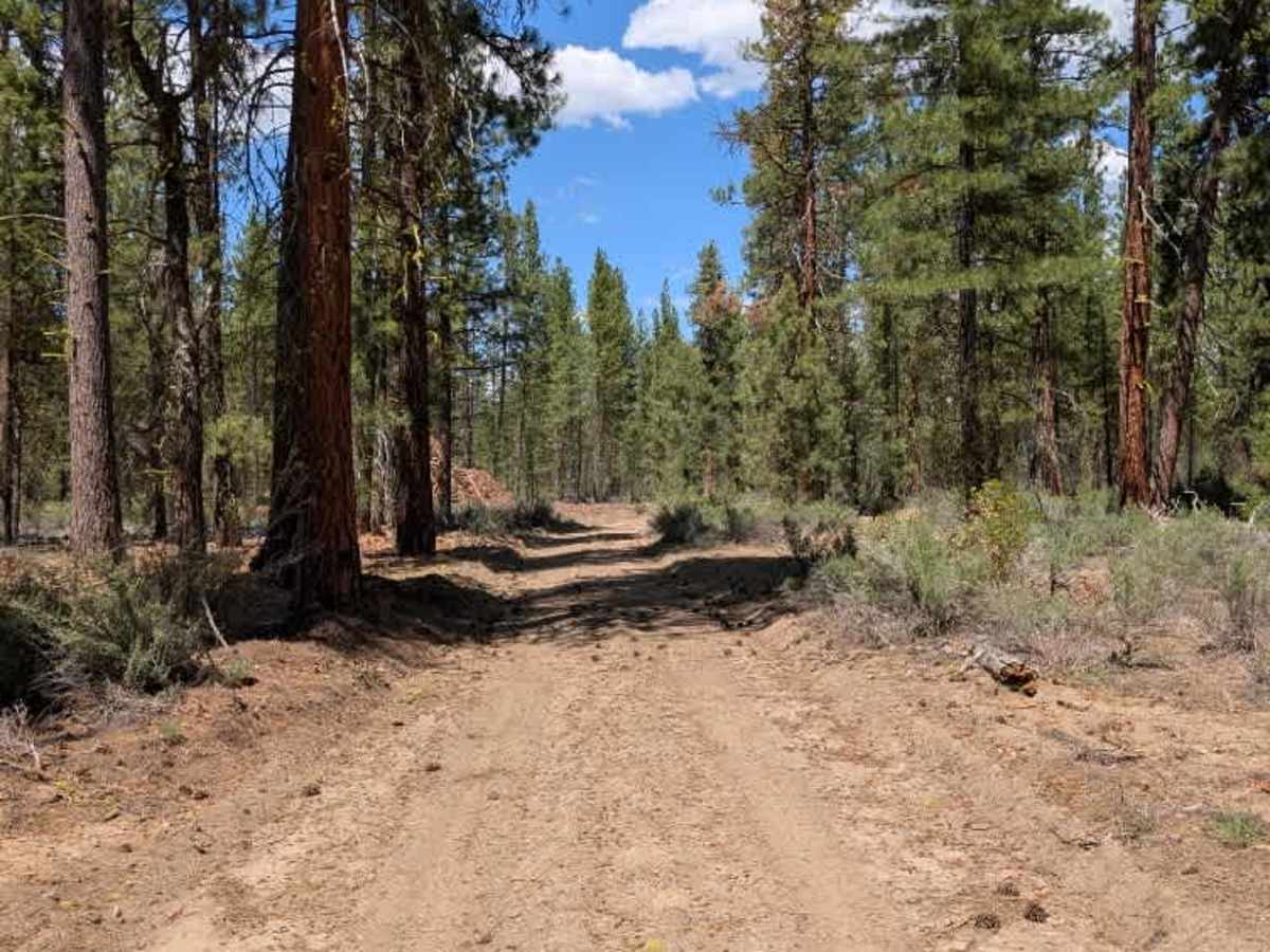 FS 5811450 trail photo