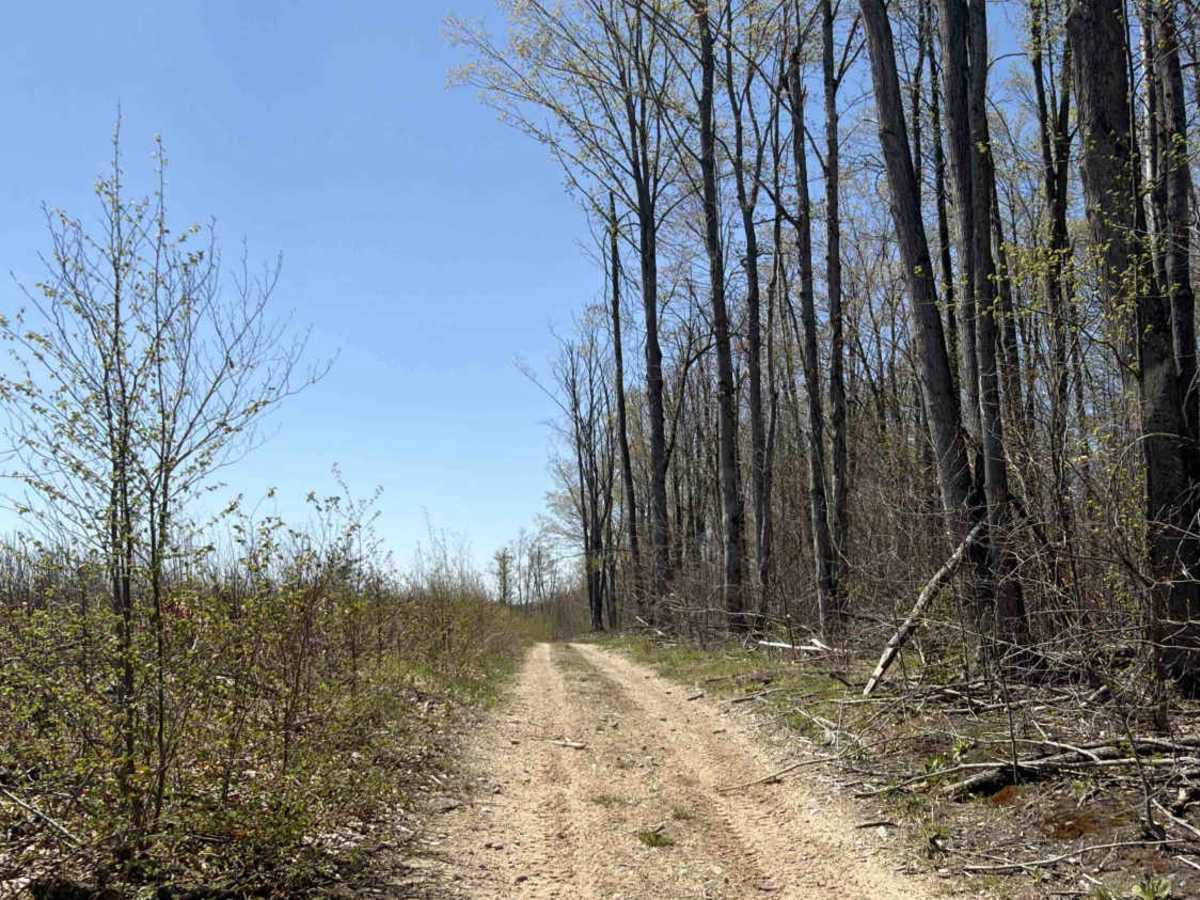 West Marker photo 3