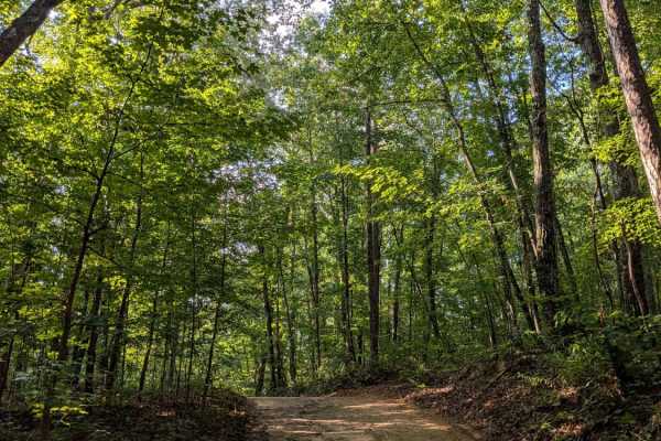 Braddison Branch Road