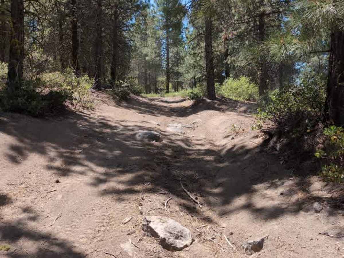 FS 5812086  trail photo