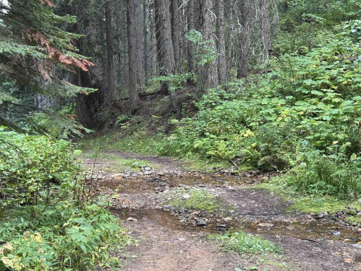 4W-7829 - Mink Peak Jeep Trail photo 5