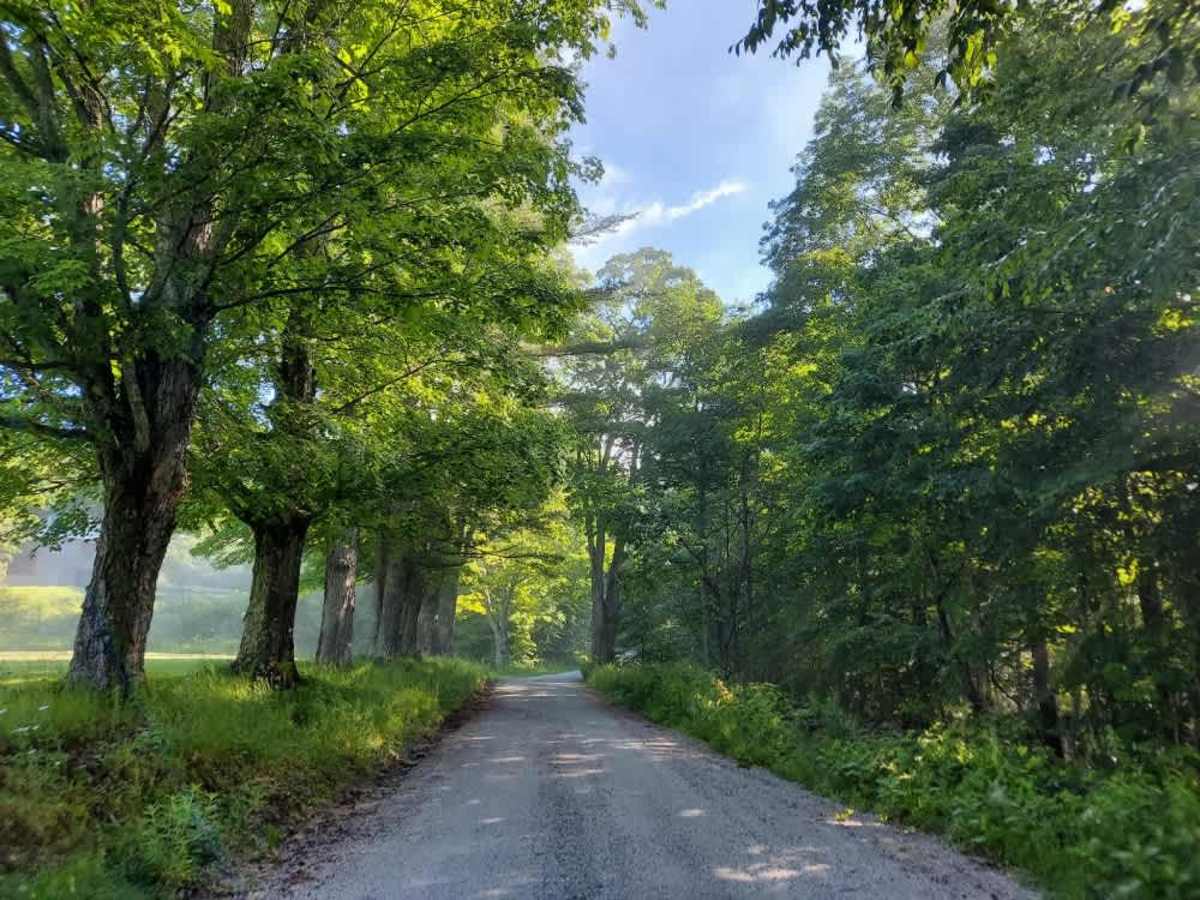 New Boston Road photo 4