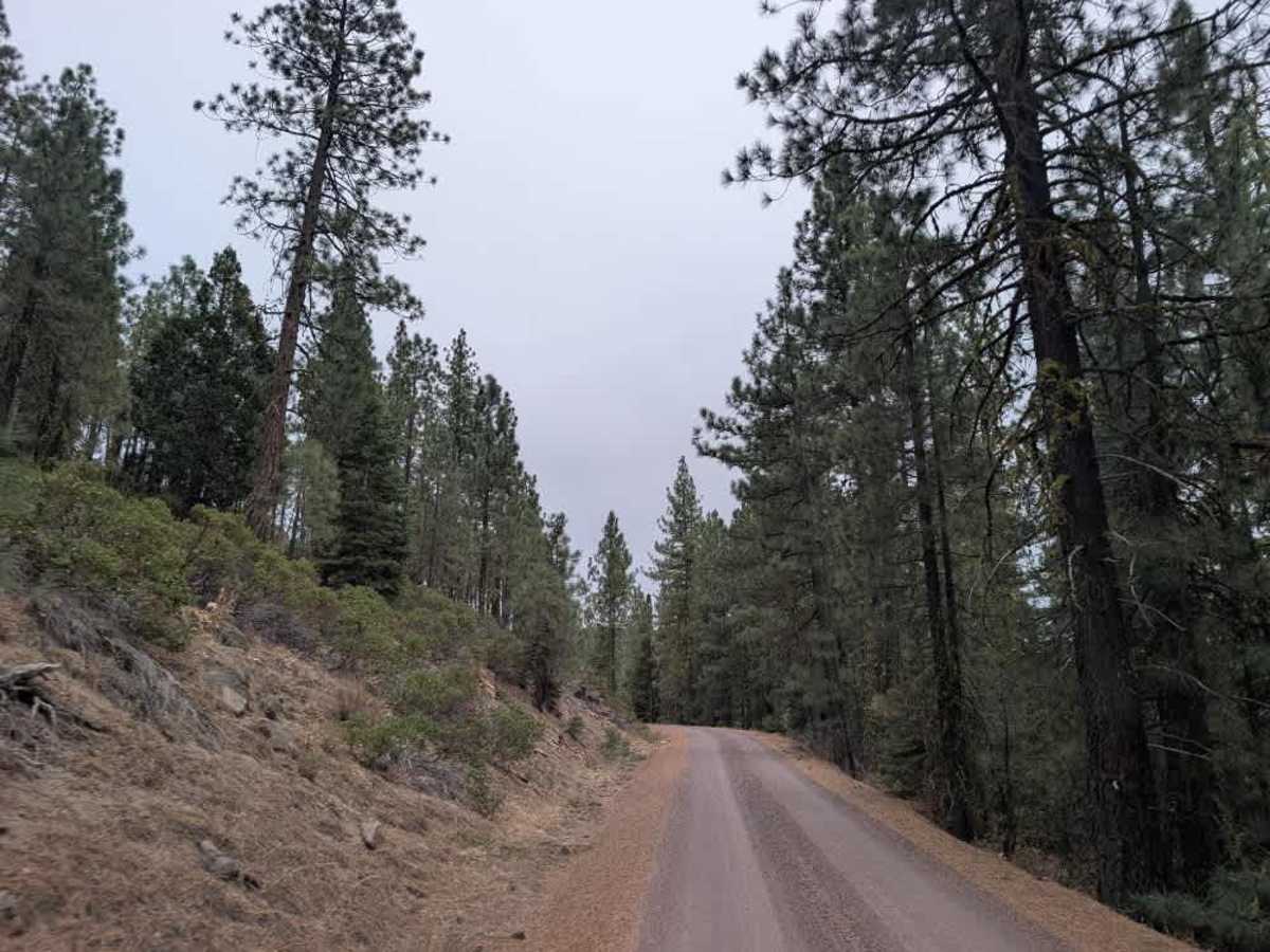 FS 30N03 photo 4
