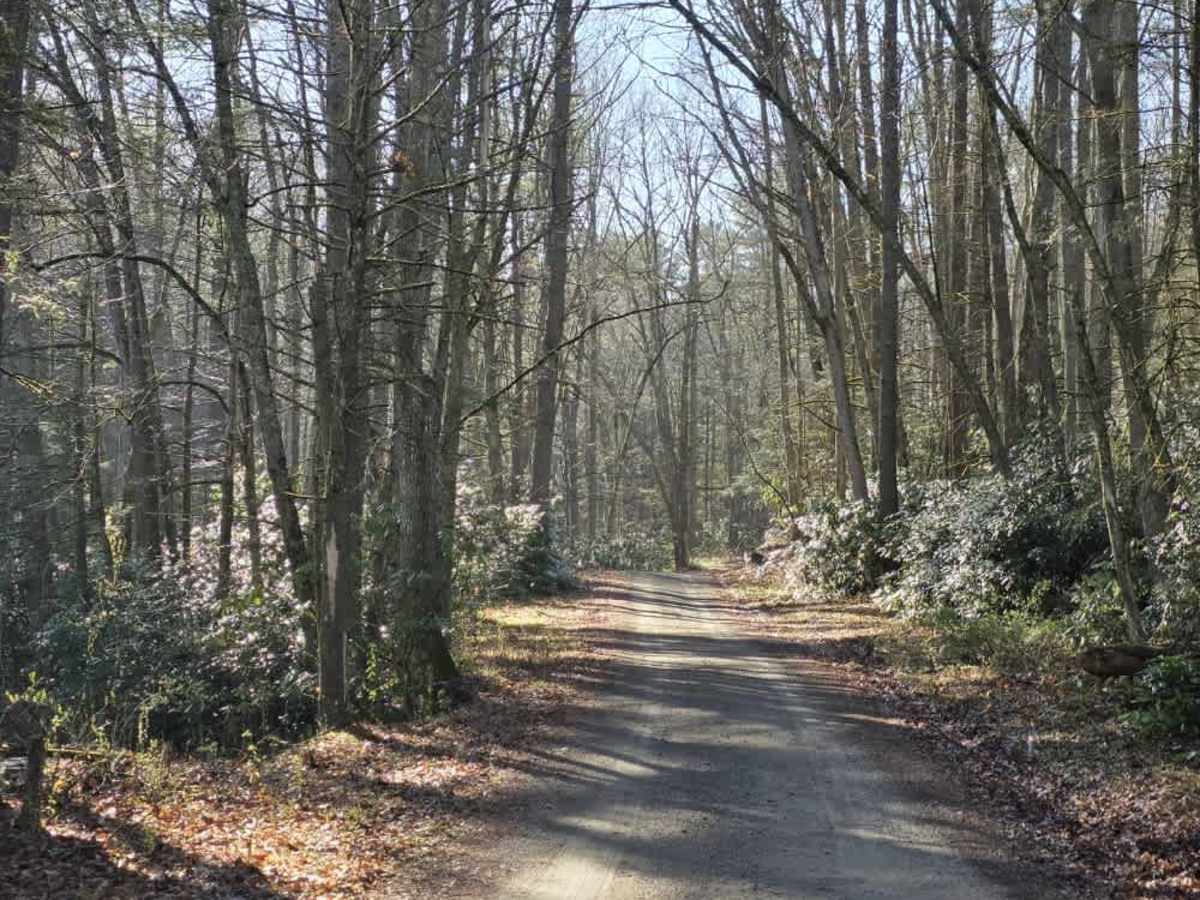 Gentry Creek photo 2