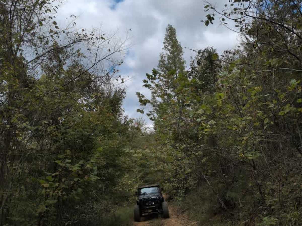 #38 Brokefoot Viewing Trail photo 2