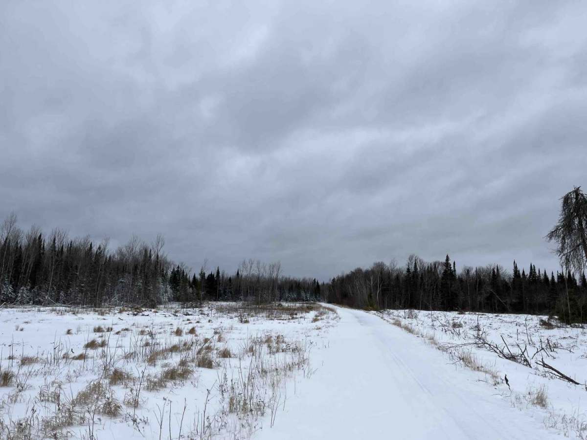 Nelson Forest Road photo 5