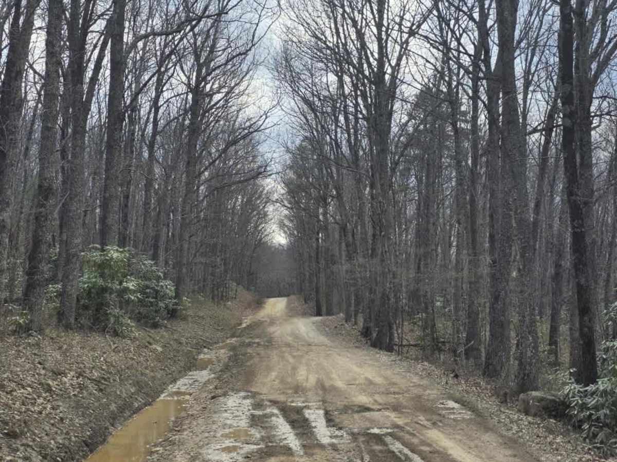 Big Creek Road photo 2