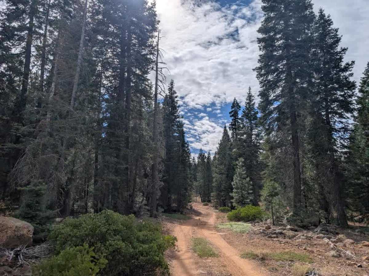 FS 31N26A trail photo