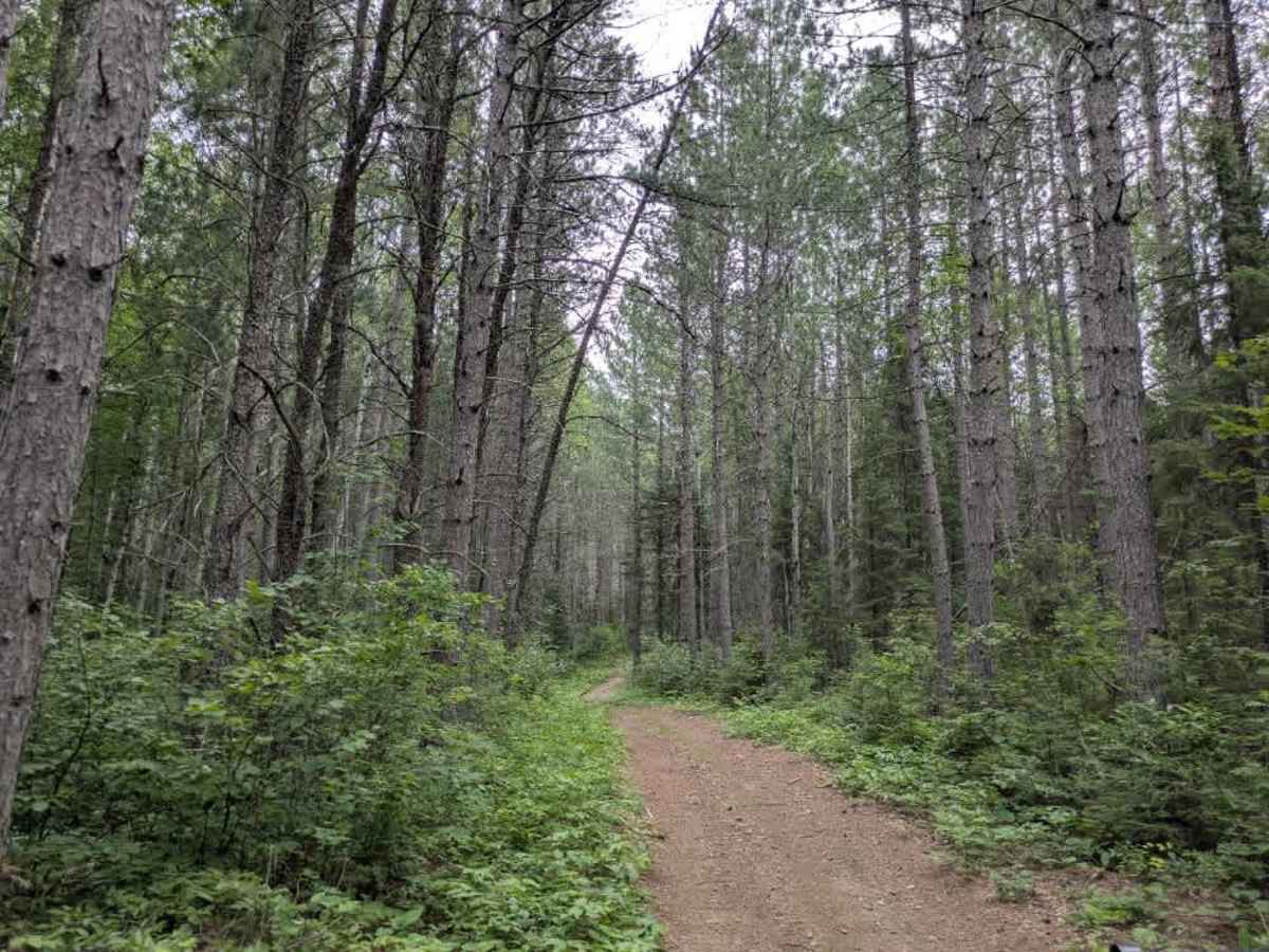 Prospectors Trail Number 8 photo 3