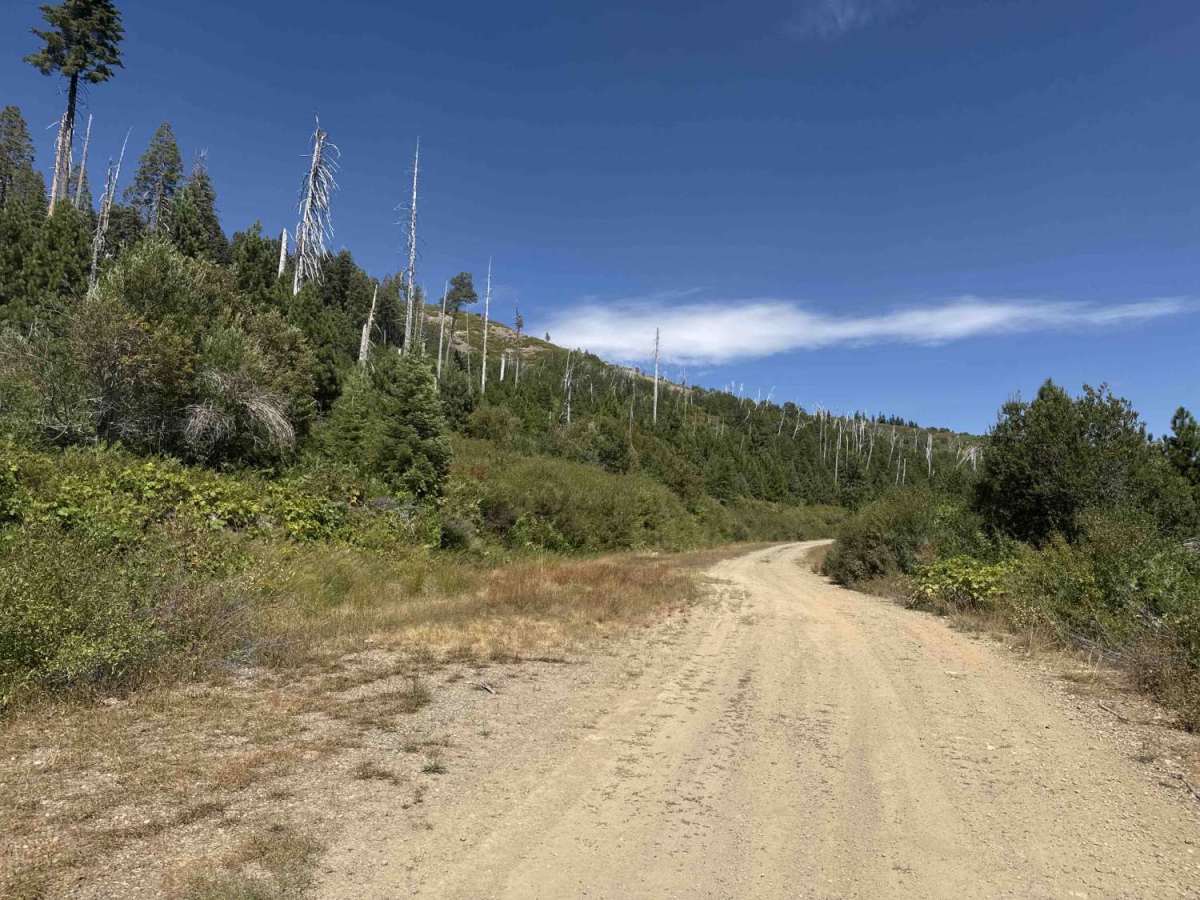 Lake Shore - FS 96-063 photo 4
