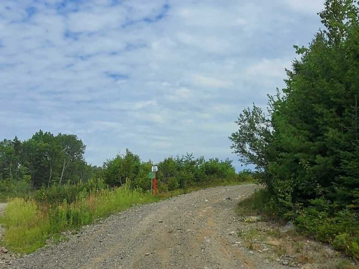 Harvey Siding Road Bypass trail photo