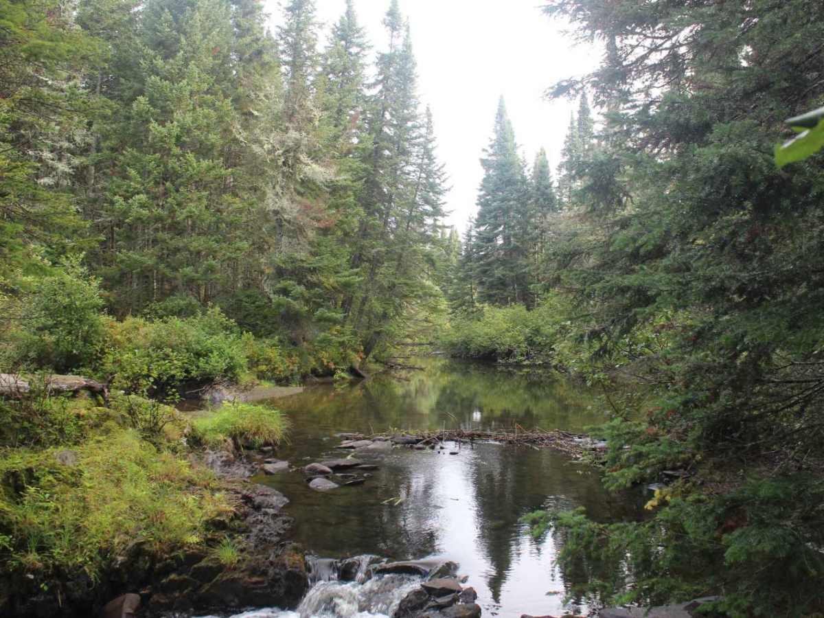 Perry Stream Road photo 6