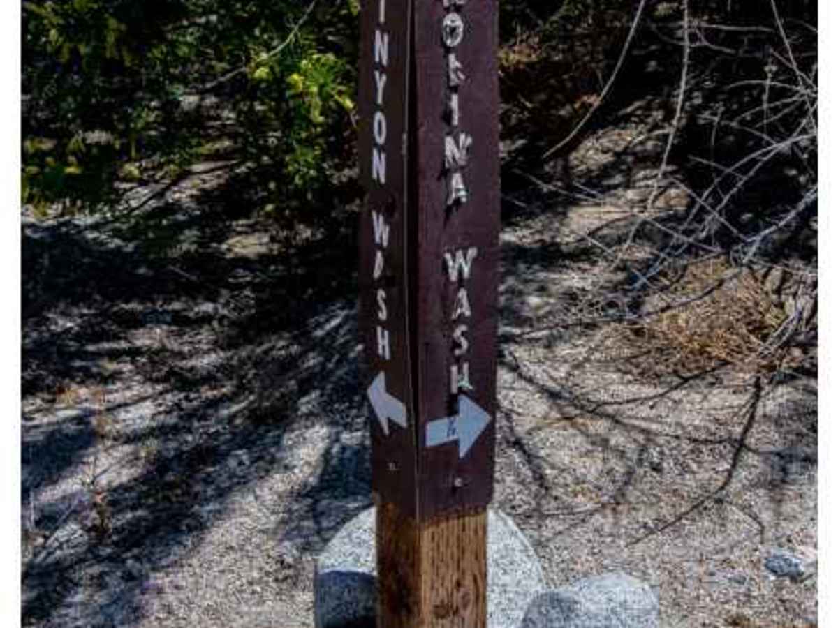 Nolina Wash Road trail photo