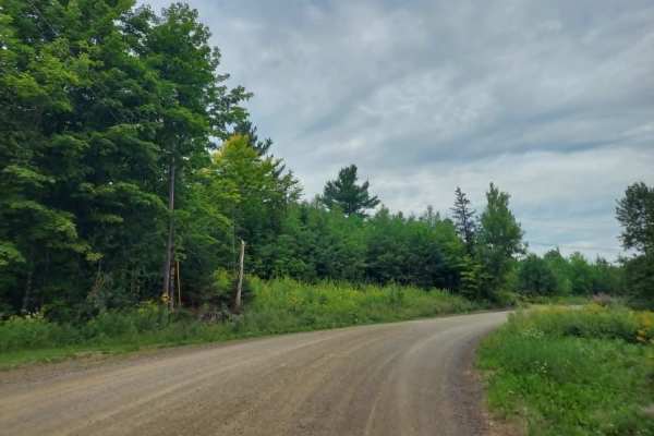 Hoyt Road