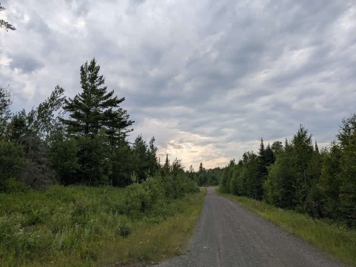 Otter Lake photo 6