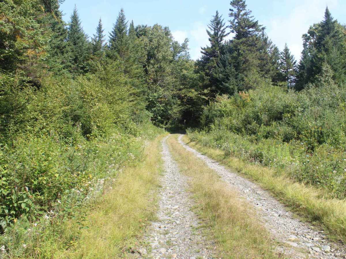 Falkenham Trail photo 4