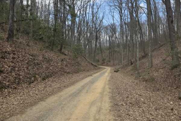 Big Creek Road