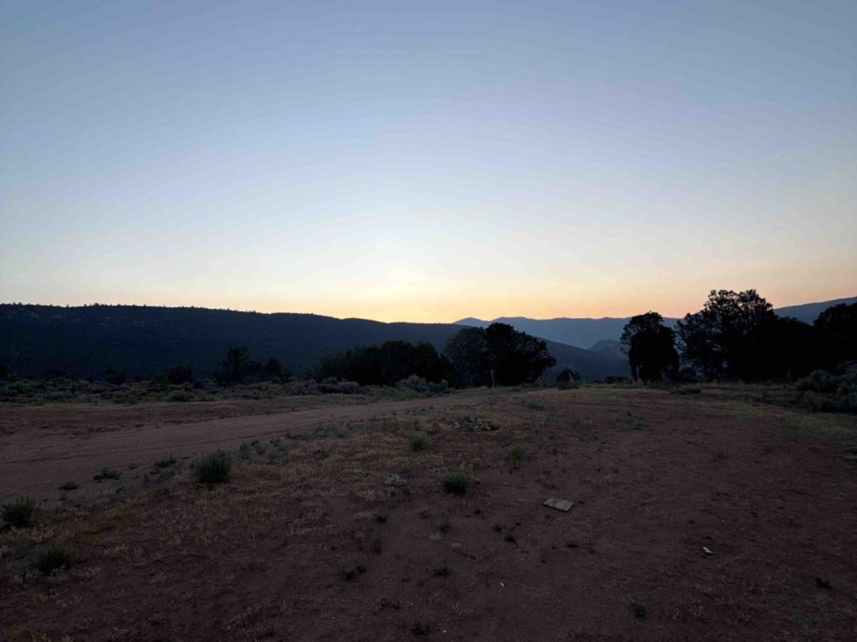 BLM 8621 photo 5