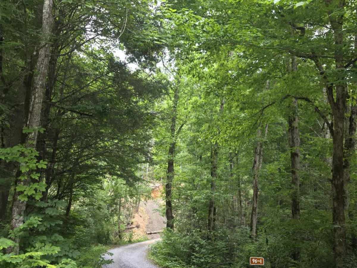Fed Fork trail photo