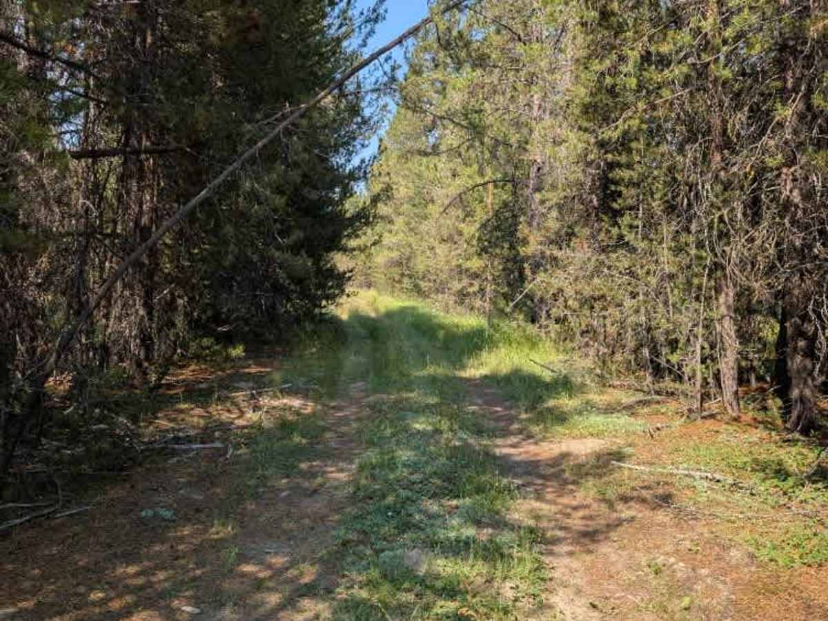 Hurricane Ridge Road - FS 9400810 photo 3