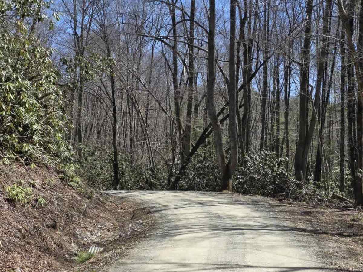 Laurel Fork photo 4