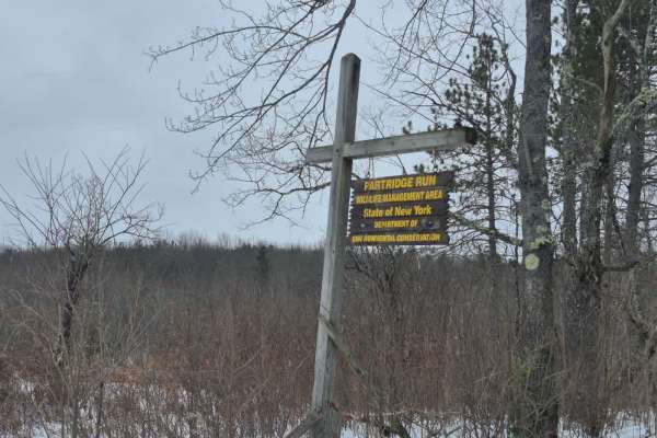 Partridge Run
