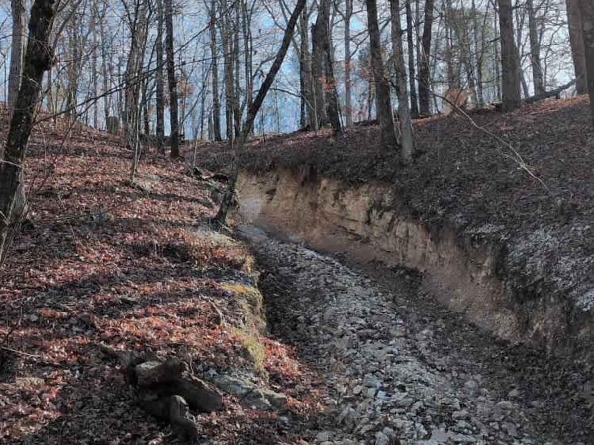 F10 Rock Fink Ravine Part Deux trail photo