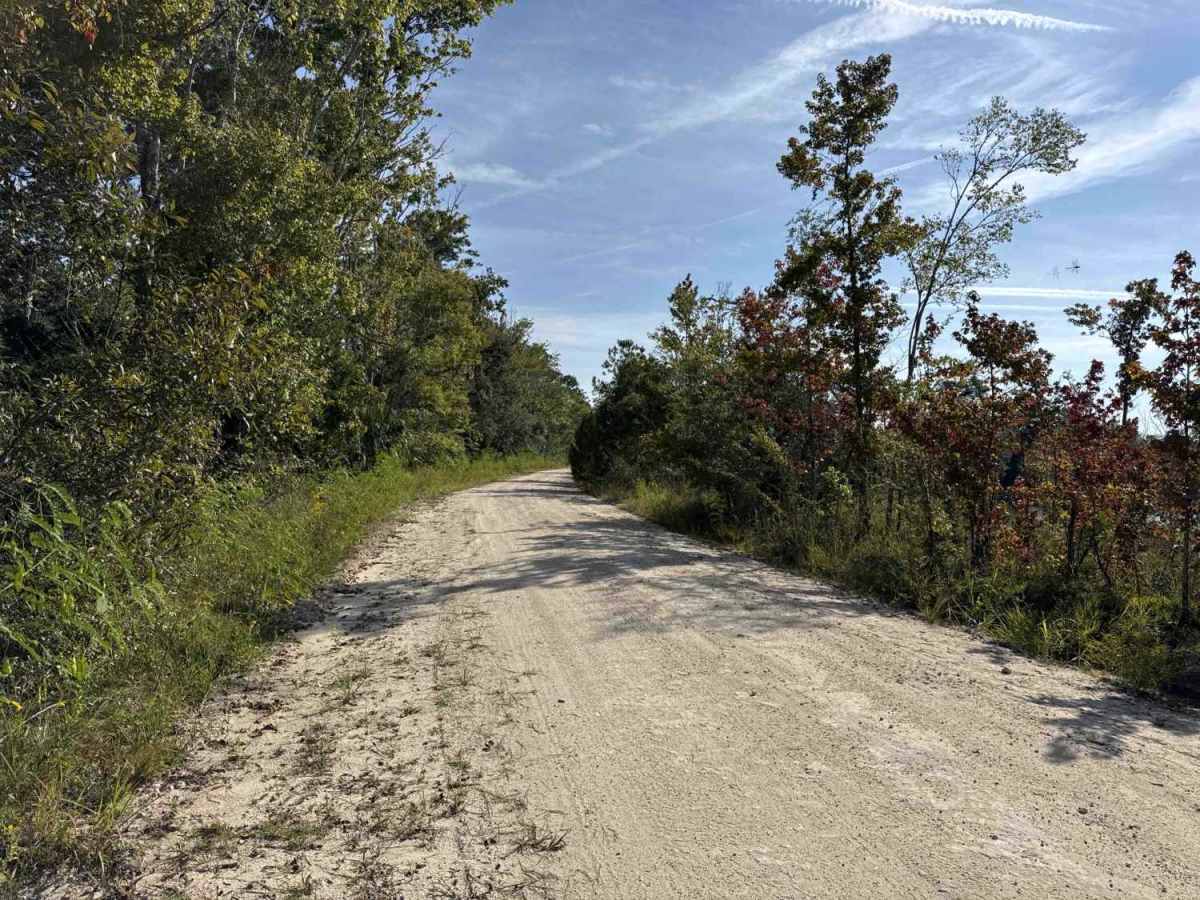 South Canal Road photo 3