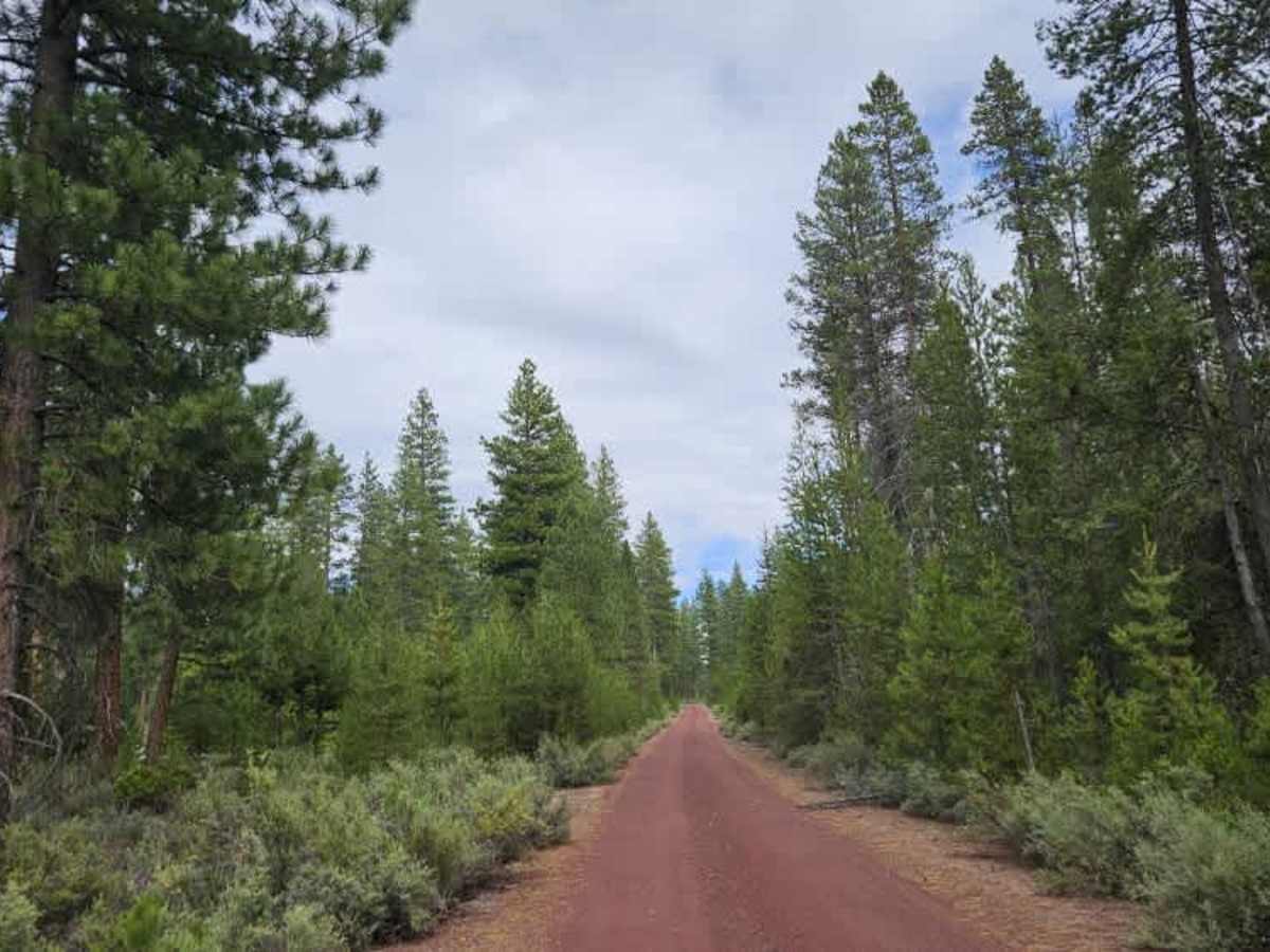 283 trail photo