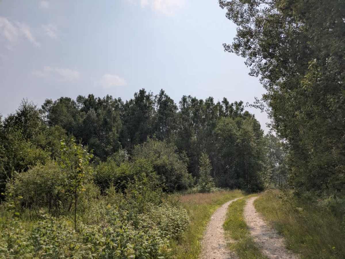 FS 487A trail photo