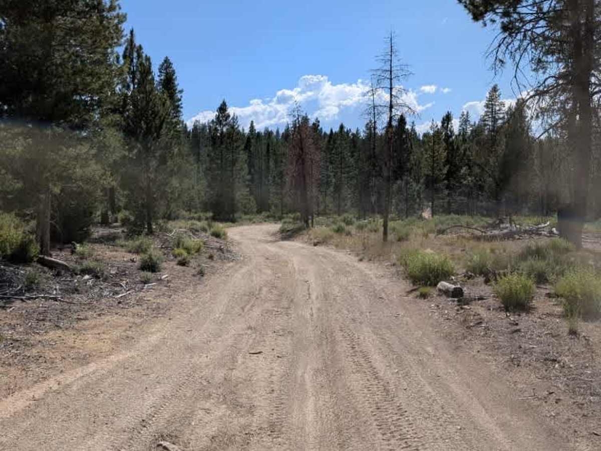 FS 4506 photo 5