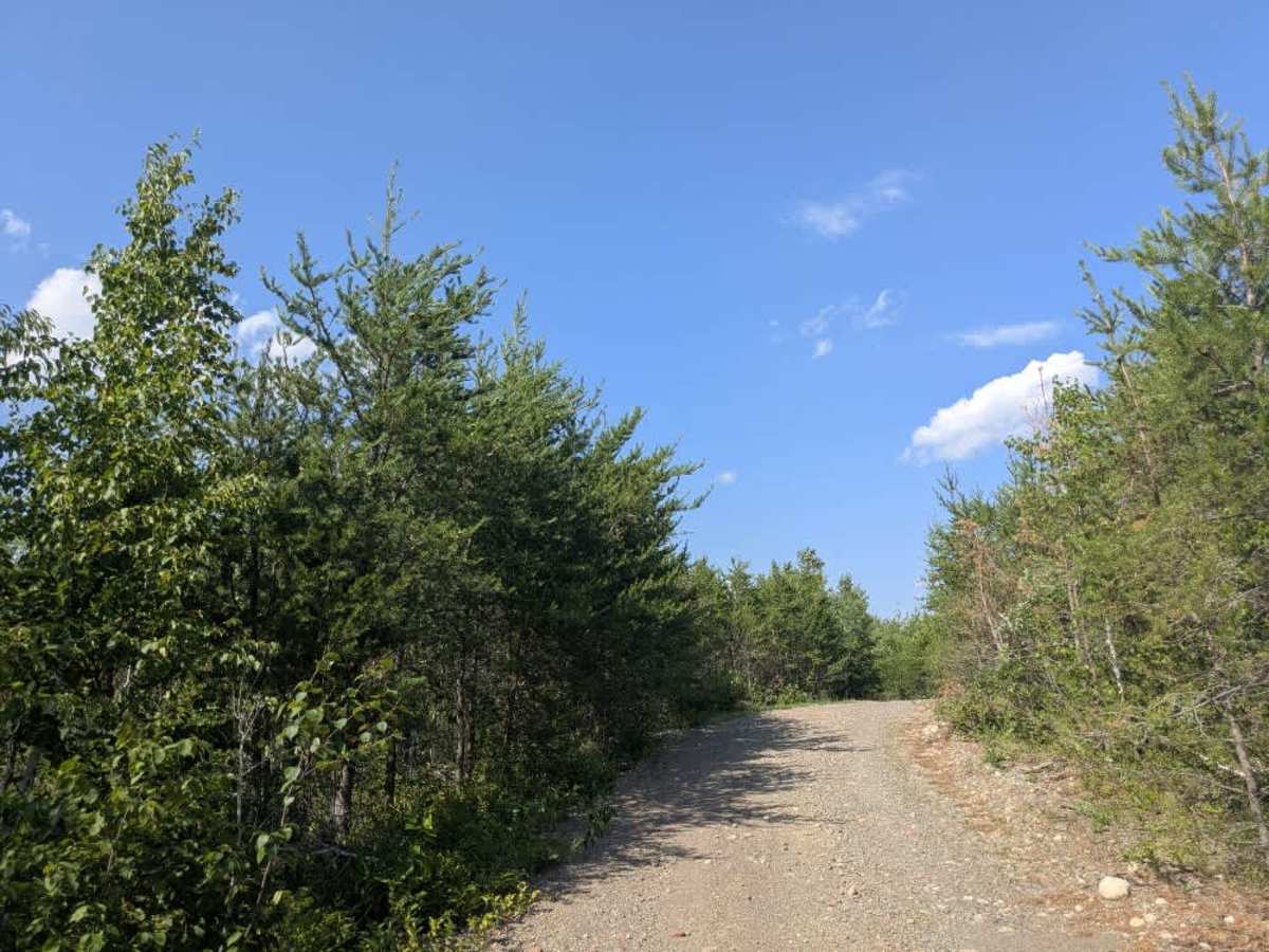 Comfort Creek trail photo