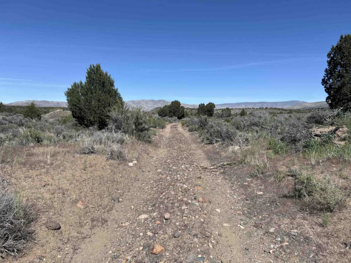 Seven Lakes Mountain Trail photo 3