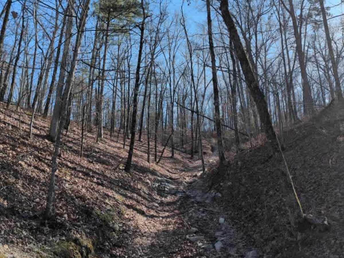 F10 Rock Fink Ravine Part Deux photo 3