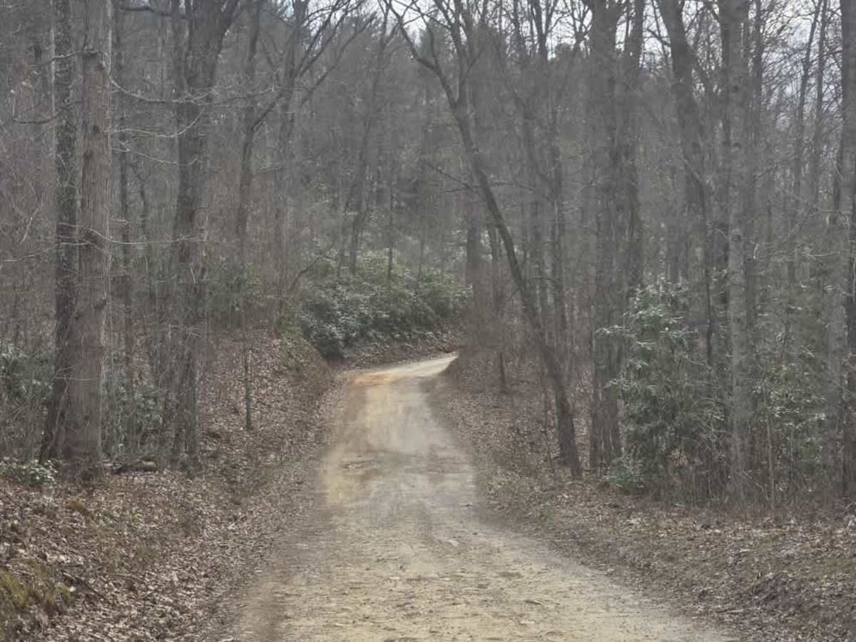 Big Creek South trail photo