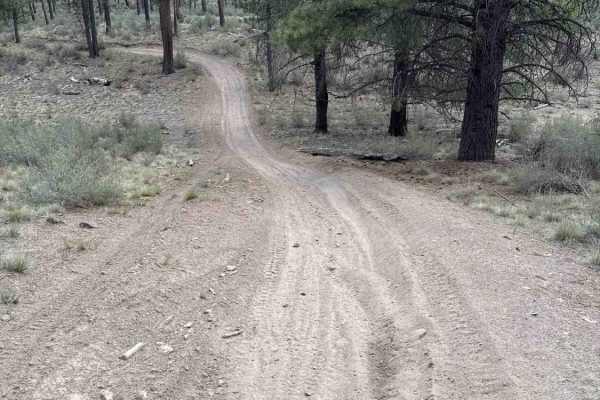 East Fort Rock - OHV Trail 40