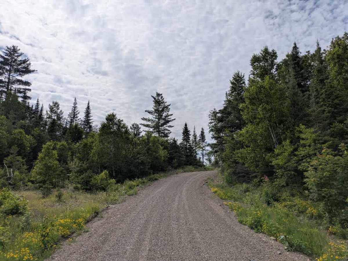 Sonju Lake Road photo 5