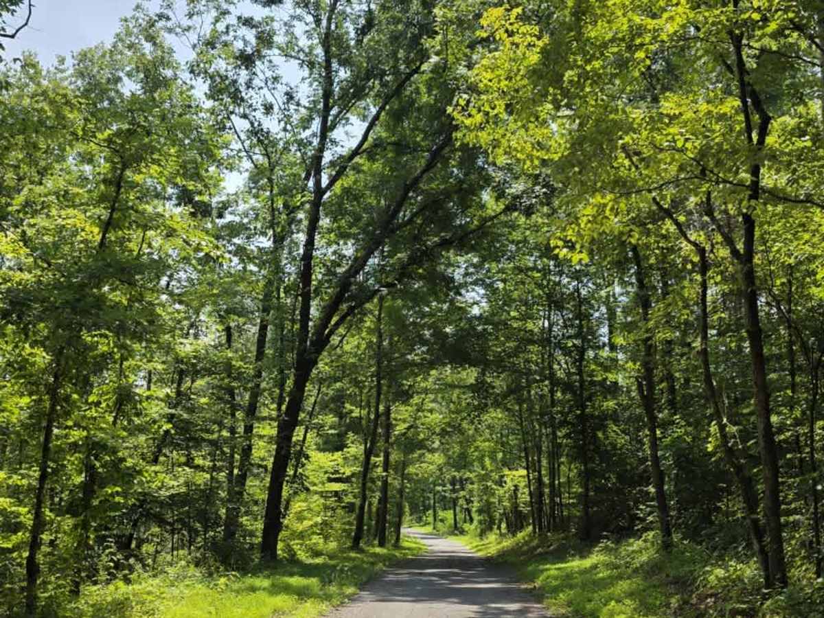 Goose Horn Road - Macon County Tour photo 5