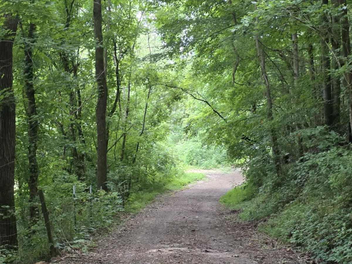 Spring Hollow Road - Macon County Tour photo 3