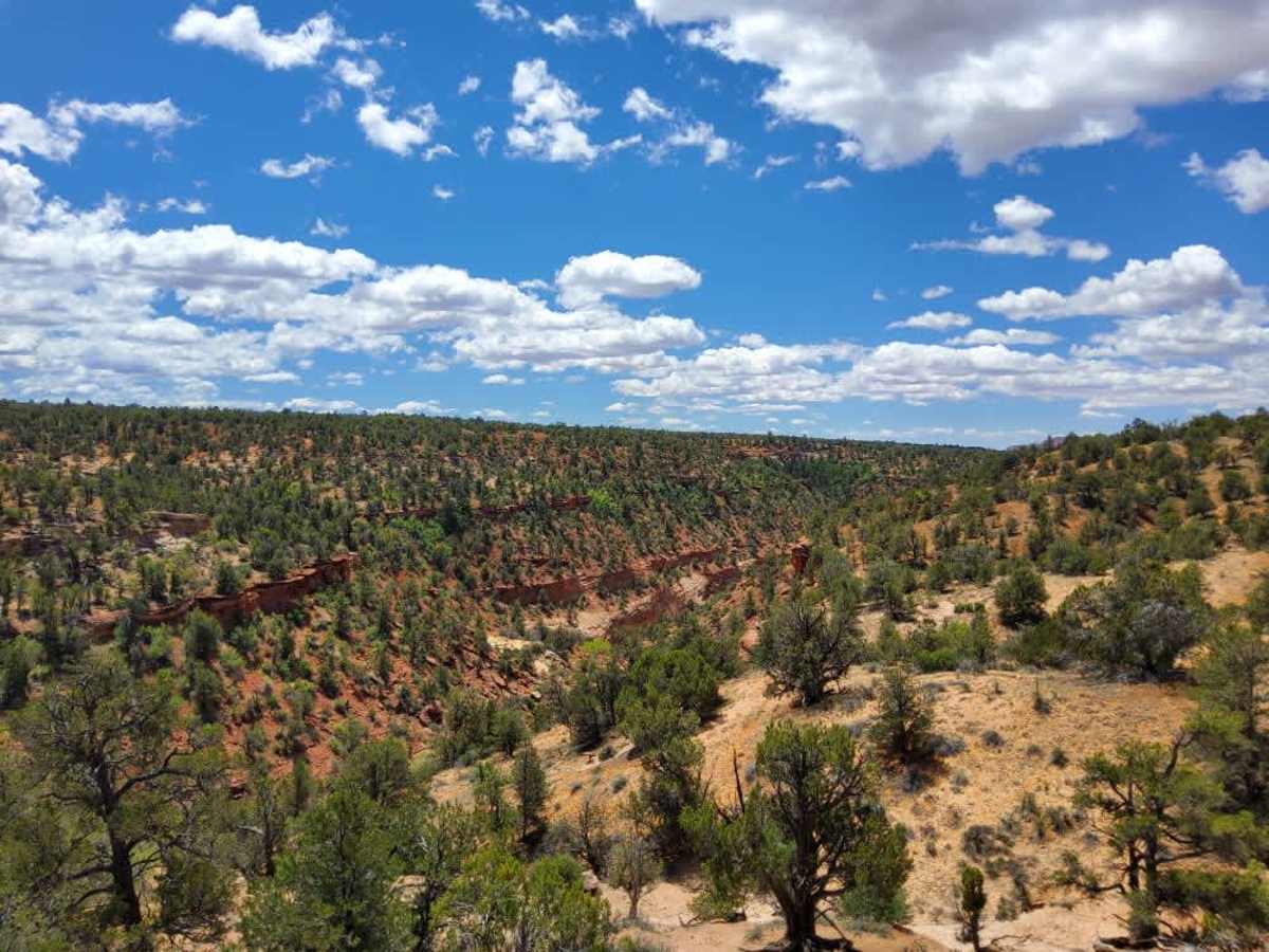 BLM 101G photo 3