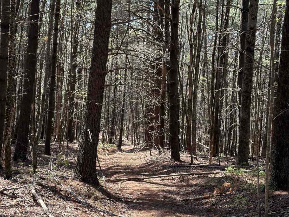 Stonewall Knob Spur photo 2