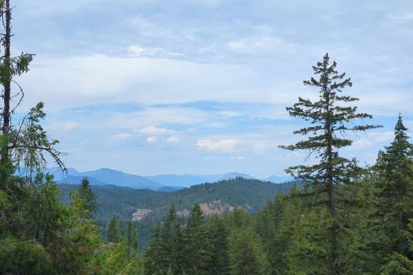 East Van Creek Road