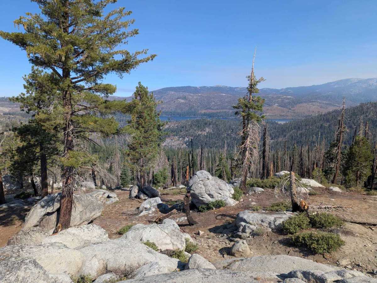 Hewn - FS 25E319 trail photo