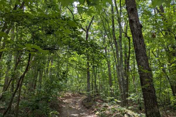 Limekiln Loop Road