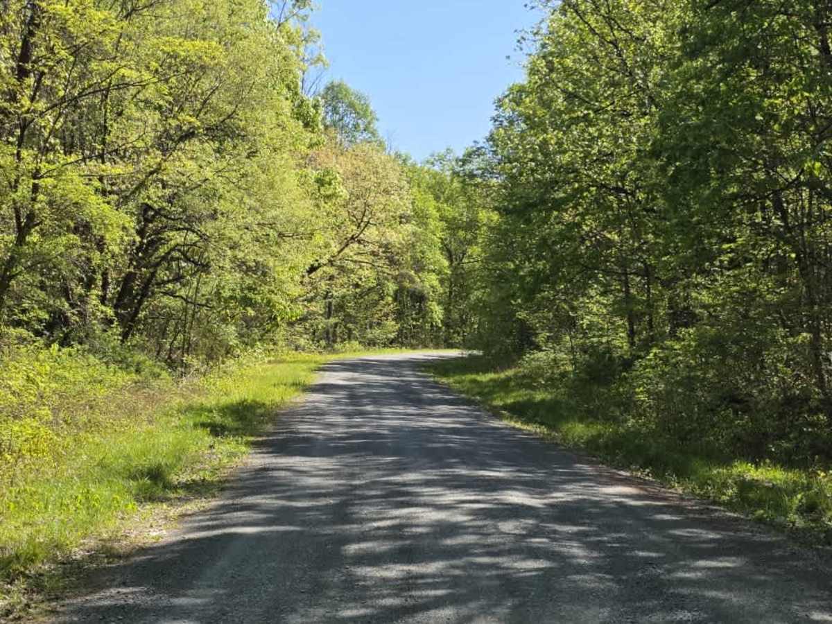 Flatwoods Road photo 3