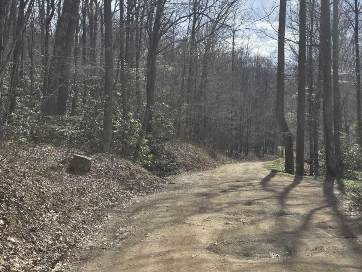 Big Creek Road photo 5