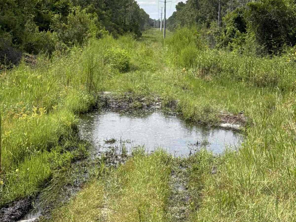 Tinsley Powerline Road photo 6